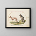 Two Spotted Dogs - Joris Hoefnagel — framed artwork on a wall