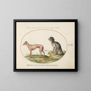 Two Spotted Dogs - Joris Hoefnagel — framed artwork on a wall
