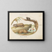 Two types of armadillos with a marmoset, a coconut tree, and a pepper mill - Joris Hoefnagel — framed artwork on a wall