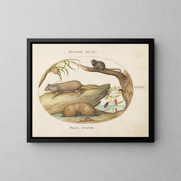 Two types of armadillos with a marmoset, a coconut tree, and a pepper mill - Joris Hoefnagel — framed artwork on a wall