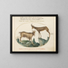 Two Wild Goats - Joris Hoefnagel — framed artwork on a wall