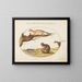 Ferrets, a ferret and a nut mouse - Joris Hoefnagel — framed artwork on a wall