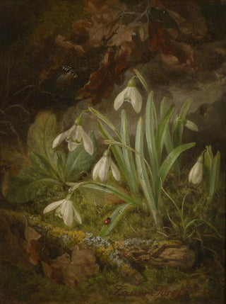 Josef Lauer - Waldbodenstck mit Schneeglckchen.webp