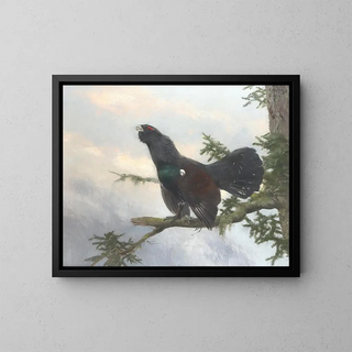 Tétrao urogallo - Josef Schmitzberger — framed artwork on a wall