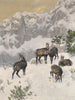 Gämse en hiver - Josef Schmitzberger — artwork view