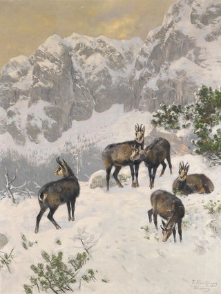 Josef Schmitzberger - Gmse im Winter.webp
