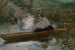 Lady in a Boat - Josef Schusser — artwork view