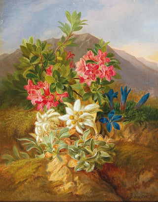 Josef Schuster - Alpine Flowers.webp