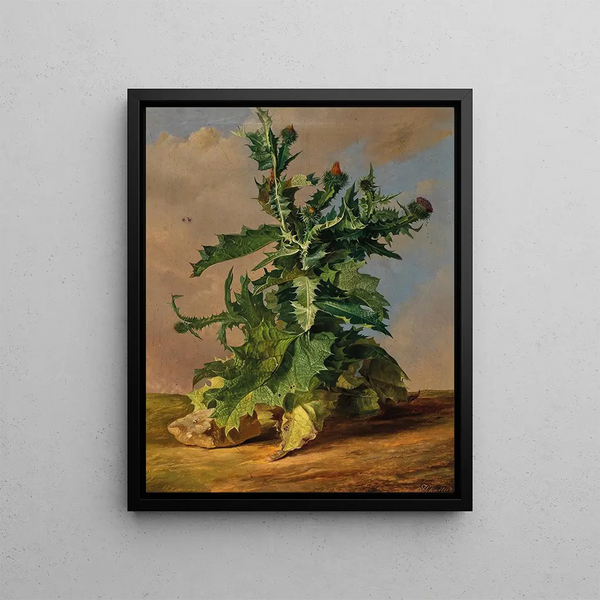 Thistles - Josef Schuster — framed artwork on a wall