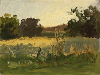 Au Simssee - Josef Wenglein — artwork view