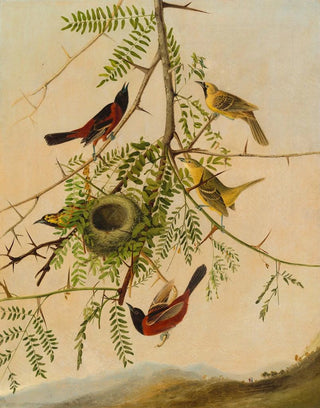 Joseph Bartholomew Kidd - Orchard Oriole.webp