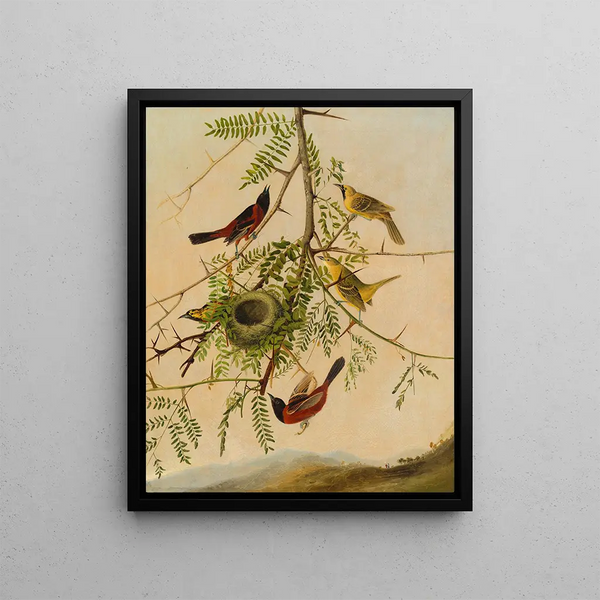 Loriot des vergers - Joseph Bartholomew Kidd — framed artwork on a wall