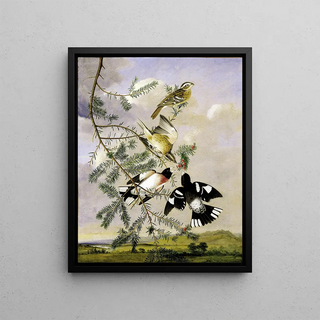 Joseph Bartholomew Kidd - RoseBreasted Grosbeak.webp