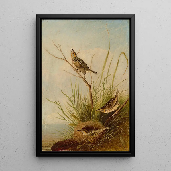 Bruant à queue aiguë - Joseph Bartholomew Kidd — framed artwork on a wall