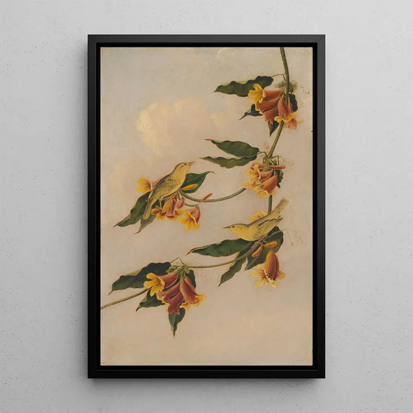 Yellow Warbler - Joseph Bartholomew Kidd — framed artwork on a wall