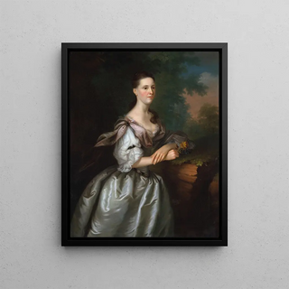 Joseph Blackburn - Mrs Samuel Cutts.webp