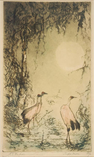 Tropical Moon - Joseph C. Claghorn — artwork view