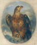 Adler Painting - Joseph Hasslwander — artwork view