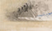 The Sketchbook of La Manche 35 - Joseph Mallord William Turner — artwork view