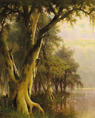 Joseph Rusling Meeker - Florida Lowlands.webp
