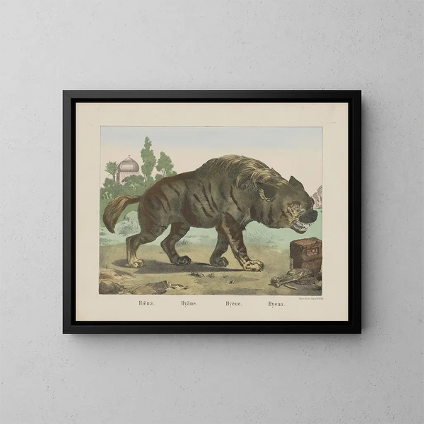 Hyena - Joseph Scholz — framed artwork on a wall