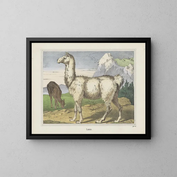 Lama Painting - Joseph Scholz — framed artwork on a wall
