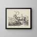Reindeer - Joseph Scholz — framed artwork on a wall