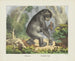 Chimpanzee - Joseph Scholz — artwork view