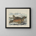 Sea Dog - Joseph Scholz — framed artwork on a wall