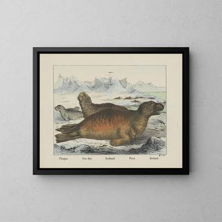 Sea Dog - Joseph Scholz — framed artwork on a wall