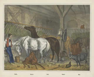 Stable - Joseph Scholz — artwork view