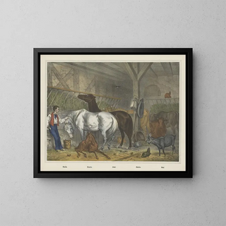 Stable - Joseph Scholz — framed artwork on a wall