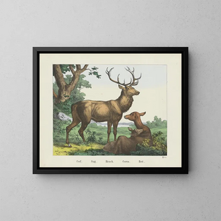 Deer - Joseph Scholz — framed artwork on a wall