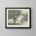Swans - Joseph Scholz — framed artwork on a wall