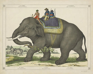 L'éléphant chassait d'autres éléphants - Joseph Scholz — artwork view