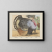Turkey - Joseph Scholz — framed artwork on a wall