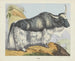 Yack - Joseph Scholz — artwork view
