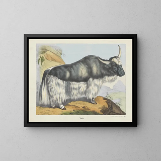 Yack - Joseph Scholz — framed artwork on a wall