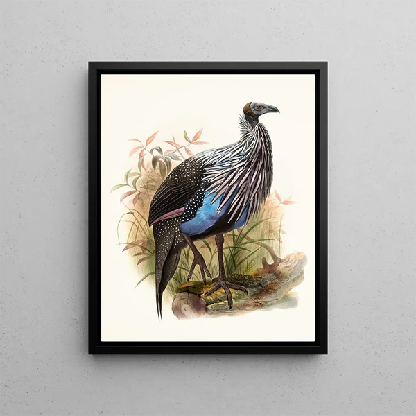 Acrylic Painting Vulturina - Joseph Smit — framed artwork on a wall