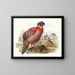 Certhia Temminckii - Joseph Smit — framed artwork on a wall