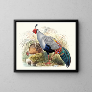 Euplocamus prlatus painting - Joseph Smit — framed artwork on a wall
