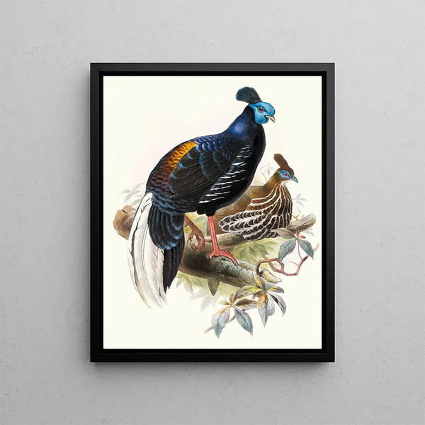 Euplocomus painting was on fire - Joseph Smit — framed artwork on a wall