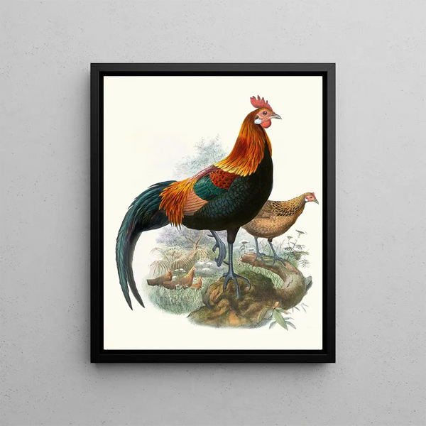 A rusty rooster - Joseph Smit — framed artwork on a wall