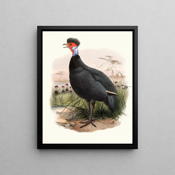 Numida Painting by Grant - Joseph Smit — framed artwork on a wall