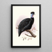 Numida Pucherani - Joseph Smit — framed artwork on a wall