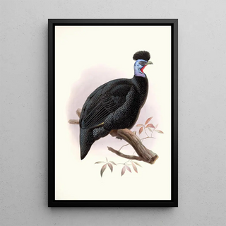 Numida Pucherani - Joseph Smit — framed artwork on a wall