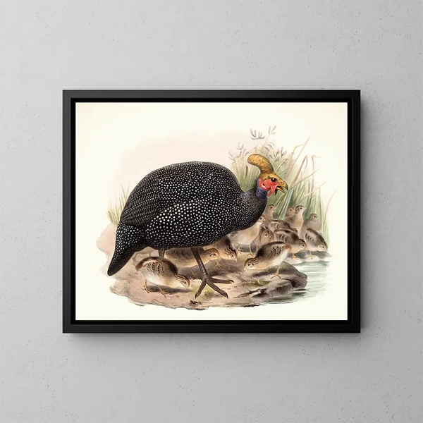 Crowned Numida Painting - Joseph Smit — framed artwork on a wall