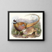 Reeves' Pheasant - Joseph Smit — framed artwork on a wall