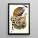 Phasianus Wallichii - Joseph Smit — framed artwork on a wall