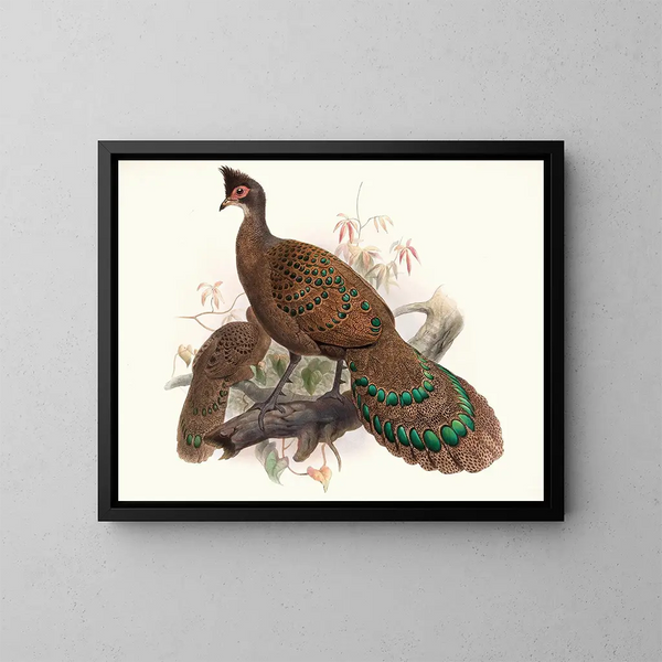 Hen with Double Spurs - Joseph Smit — framed artwork on a wall